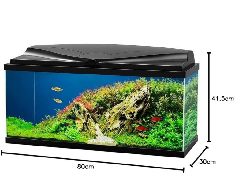 Fish tank 