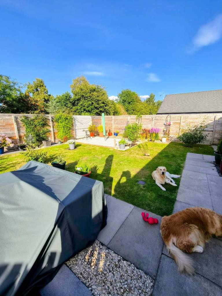 Bungalow WANTED for Permanent let