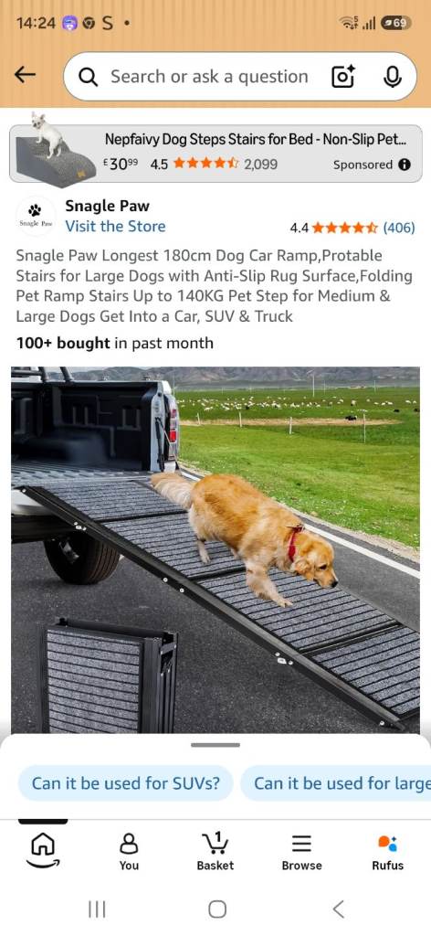 Dog ramp for large dogs