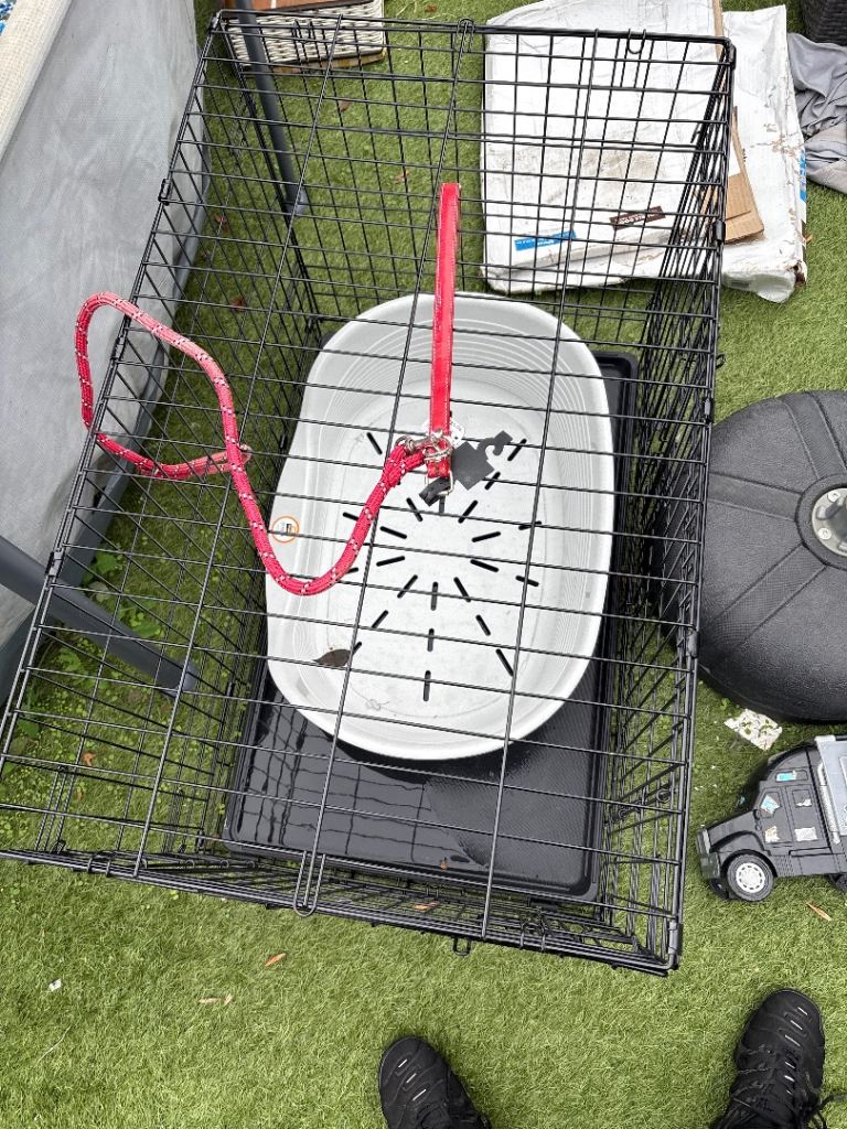 Large Black Metal Dog Crate with Red Lead and Bowl
