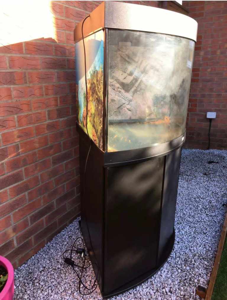 Juwel Trigon 190 Black fish tank aquarium tropical setup delivery 🚚