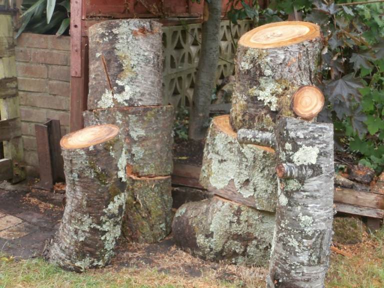 Seasoned Wood Logs for Firewood or Garden Use,  Cherry wood, can also be turned!
