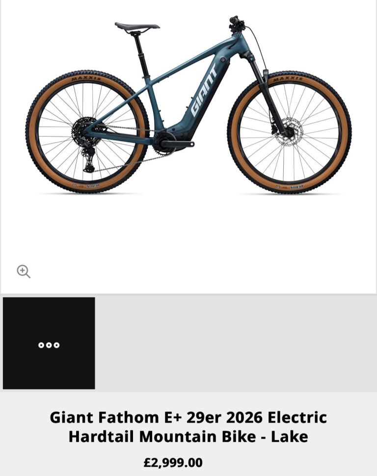 Giant E bike 