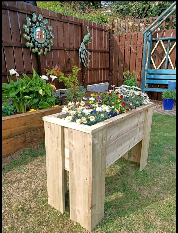 Large raised planter