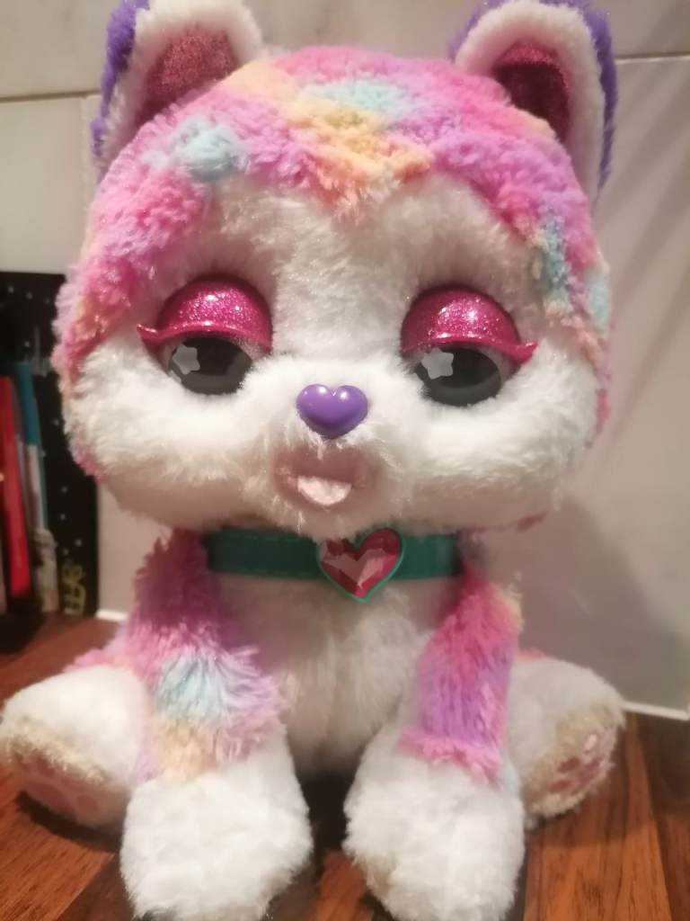 Vtech Whoopie the dog