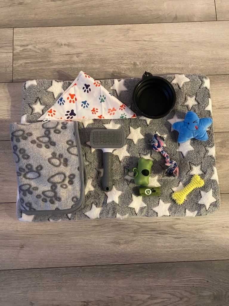 New Puppy Travel Pack