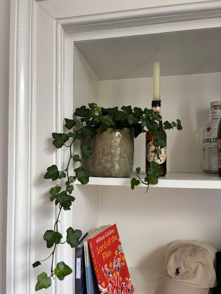 Flower pot 