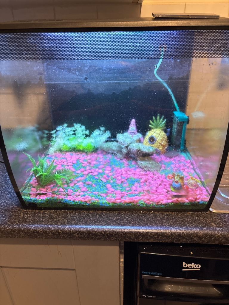 Fish tank for sale