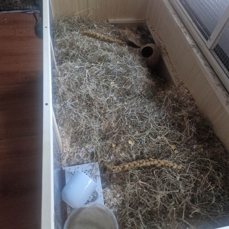 gerbil/hamsters  cage for sale