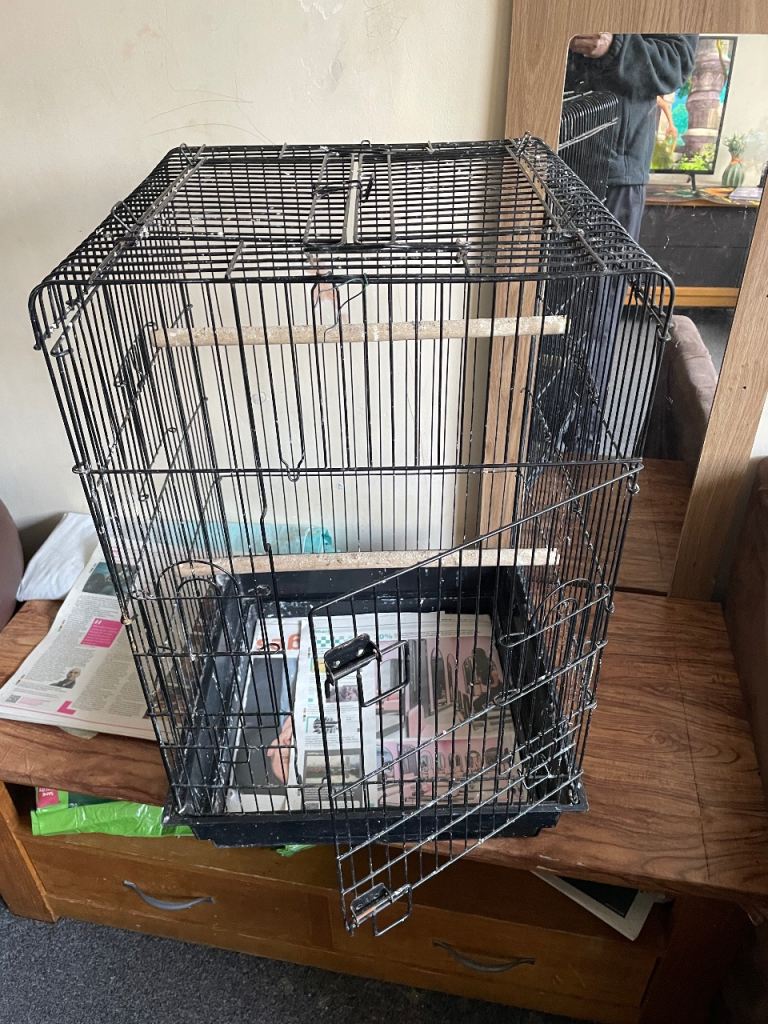 Parrot cage