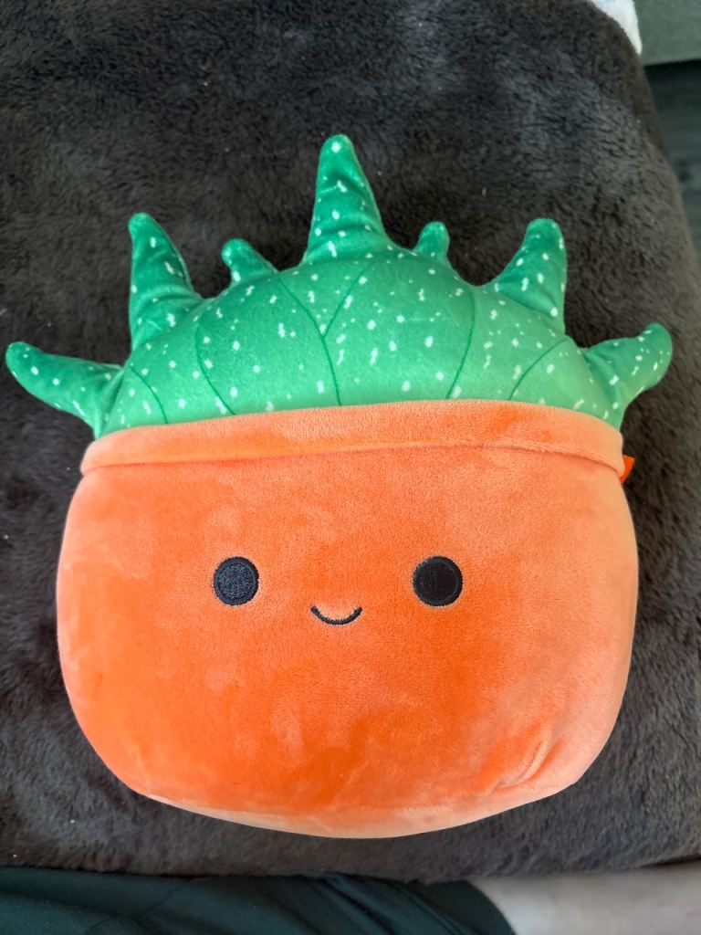 Squishmallows Cactus Plant Plush – As Good As New