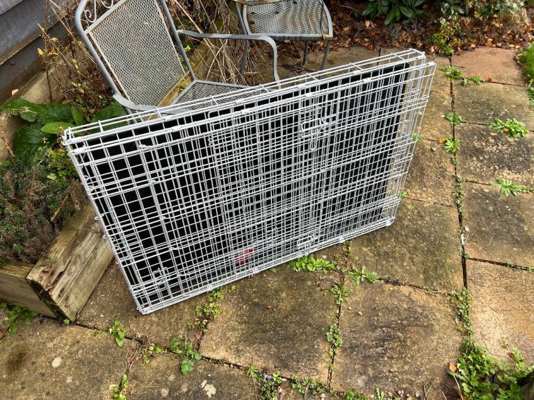 Pets at Home Double Door Easy Assemble Secure Folding Dog Crate for Dogs Black, Large