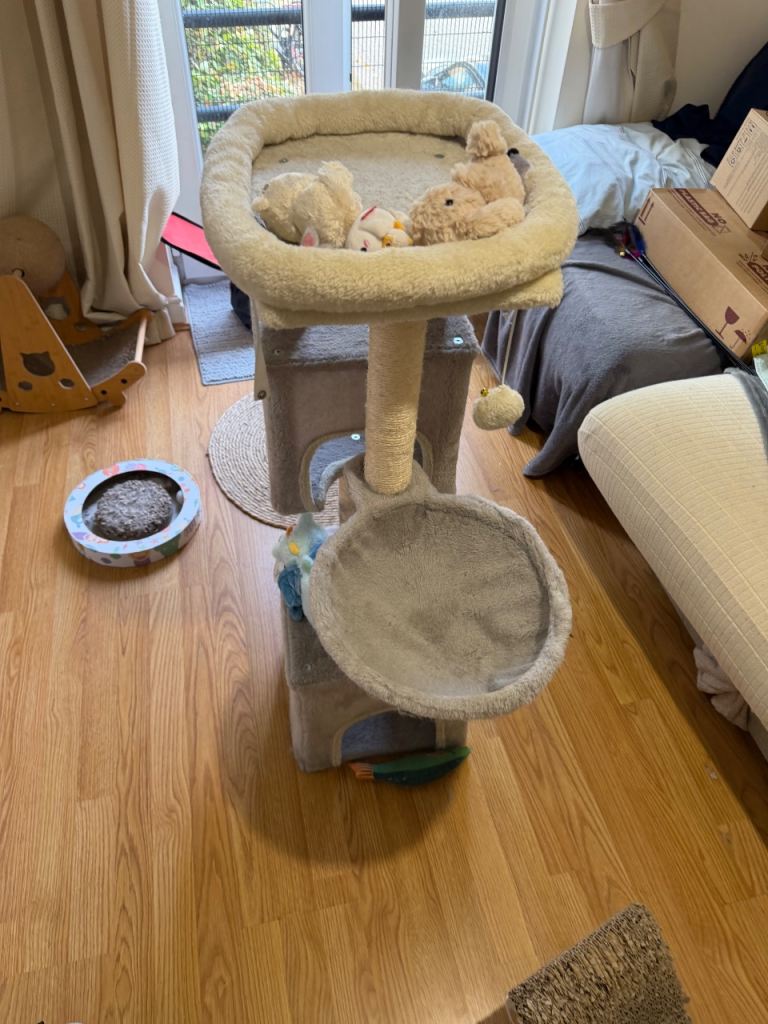 Cat Tree and some other accessories