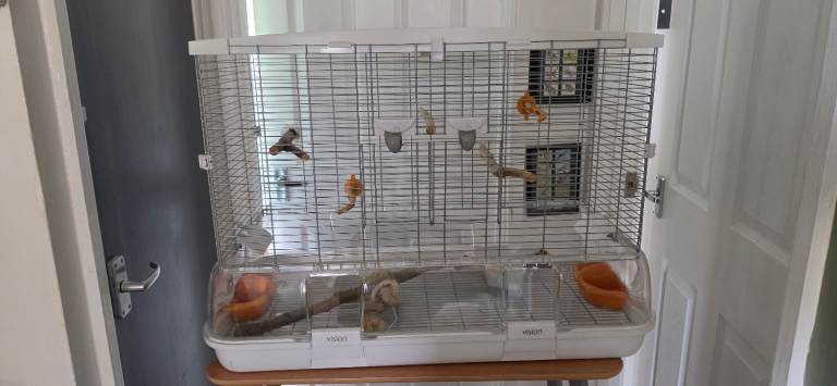 New Large vision Birdcage with stand 