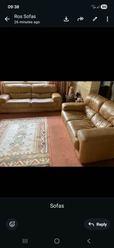 Leather sofas 