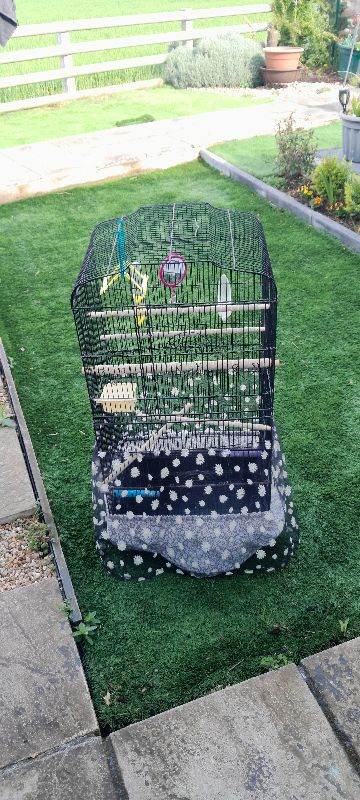 bird cage 
