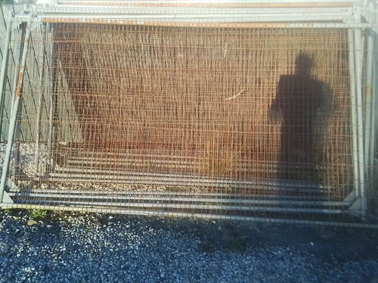 Galvanised temporary site fencing