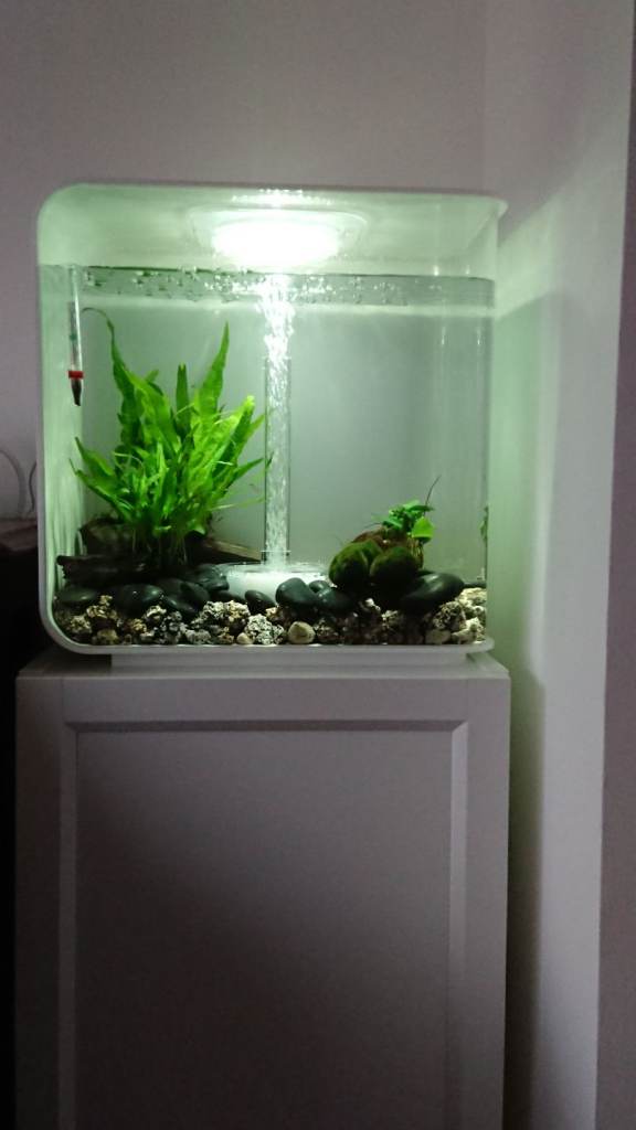 Biorb Flow 30L Fish Tank with accessories 