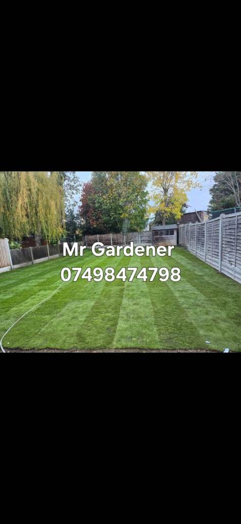 Mr gardener 