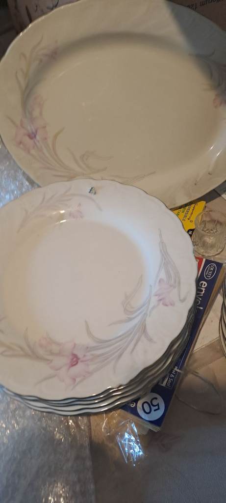 Lovely White Dinner Plates 