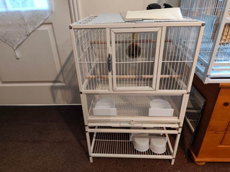 Bird Cage for 1/2 budgies or similar