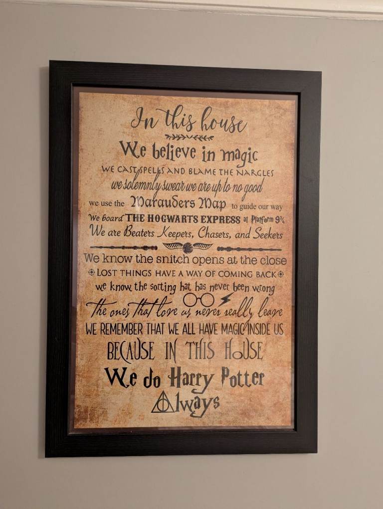 Harry Potter Framed Poster