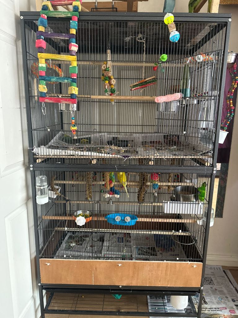 Large bird cage