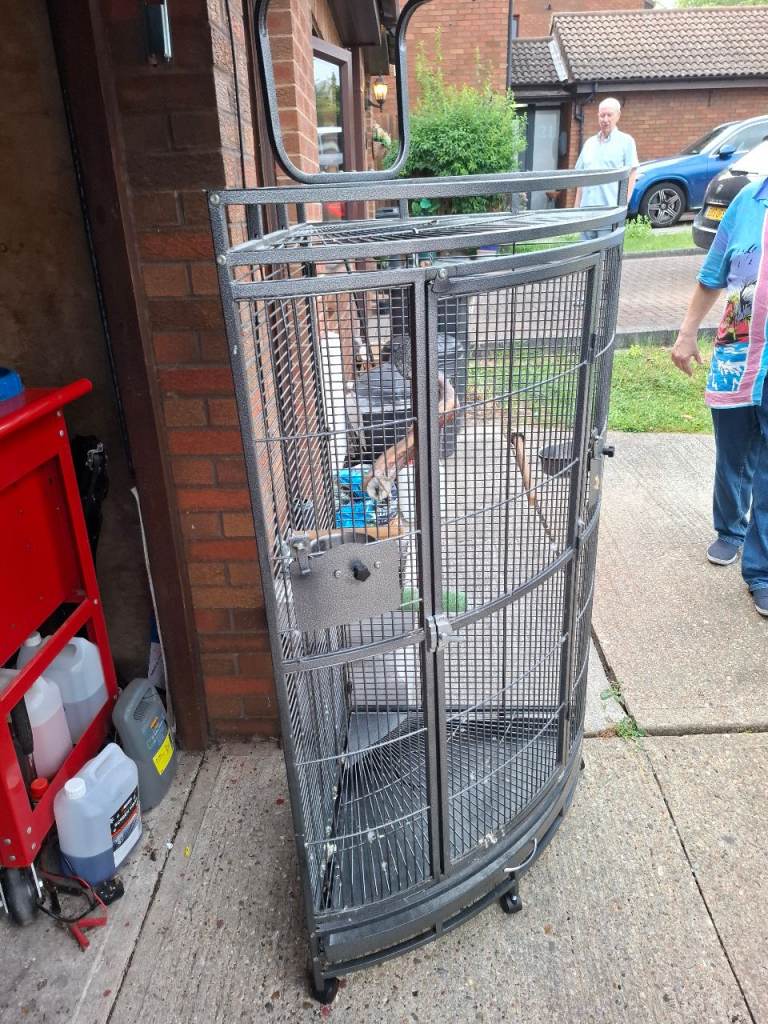 Parrot cage