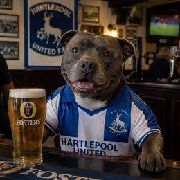 your team your pet