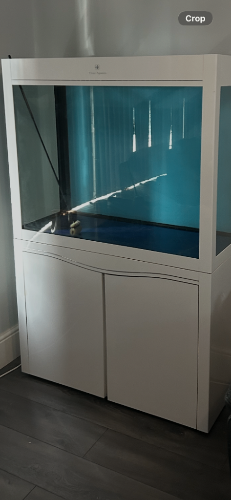 Cleair fish tank  vgc