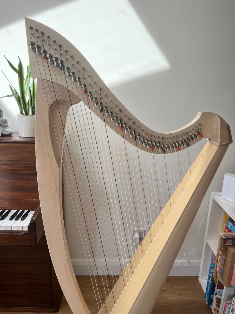 Salvi Titan Harp (bought 2026) 38 string