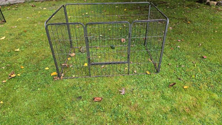 Metal dog run 
