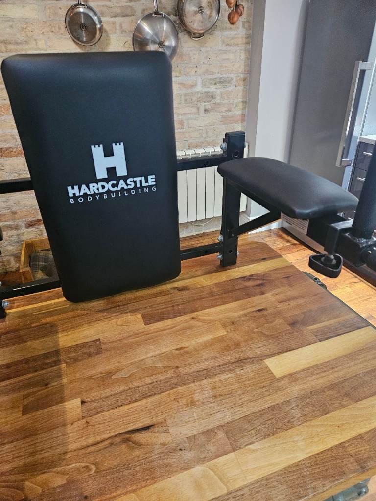 Wall mounted knee raise station