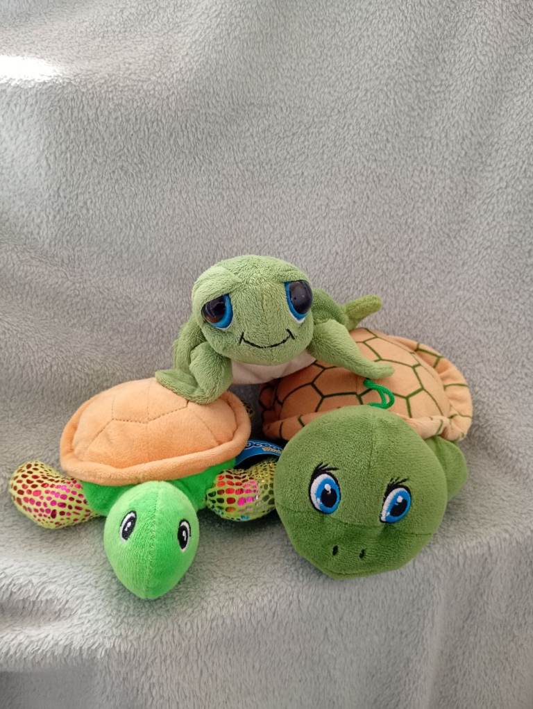Turtle soft toy bundle 