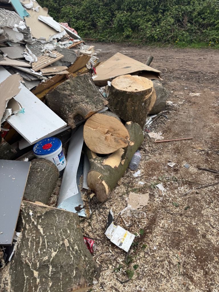 Tree logs - wood burners 