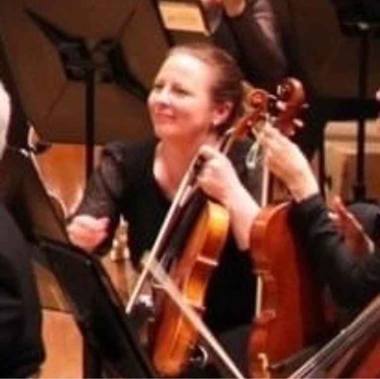 Violin/viola lessons