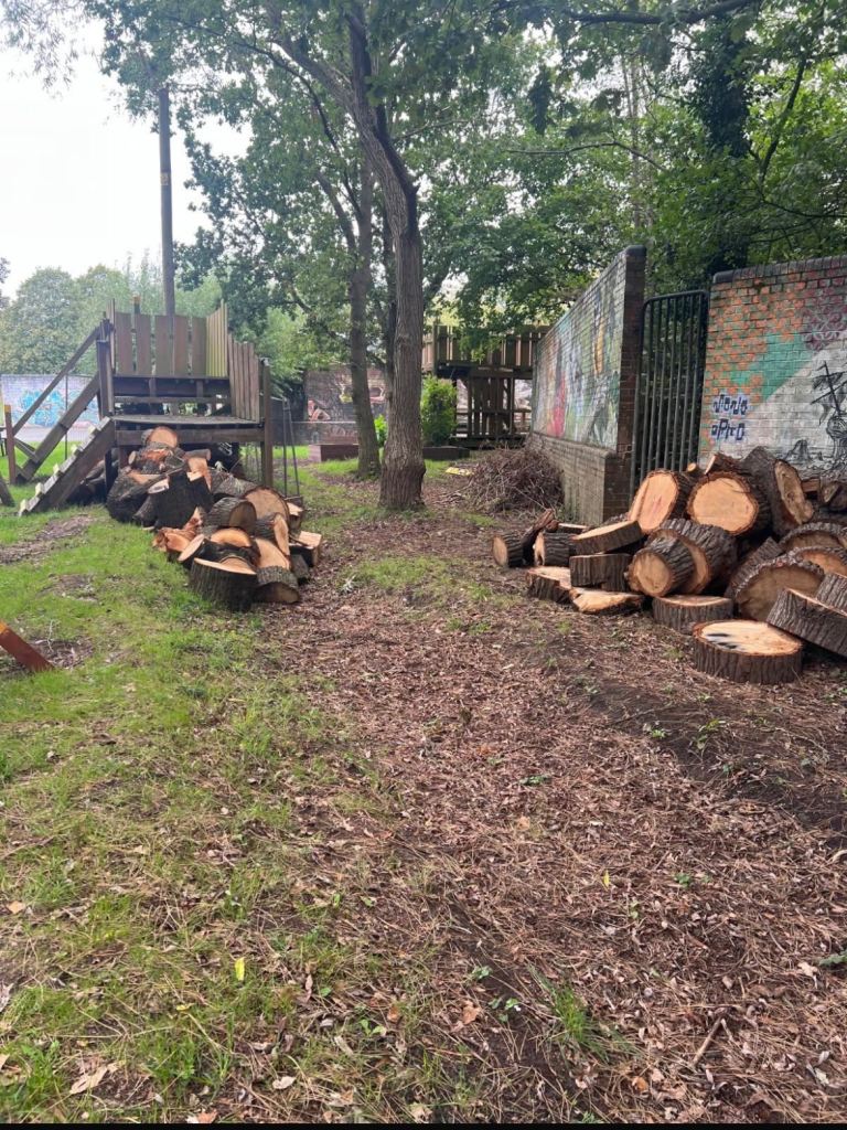  Unseasoned Firewood Logs