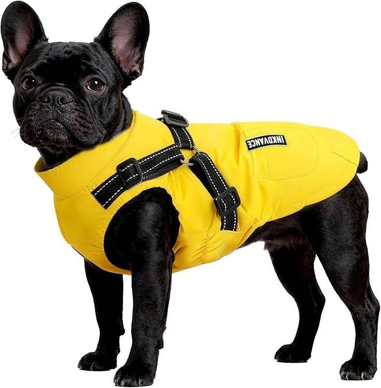 Flow Fire Warm Winter Dog Coat with Harness XL. [Small Dog]