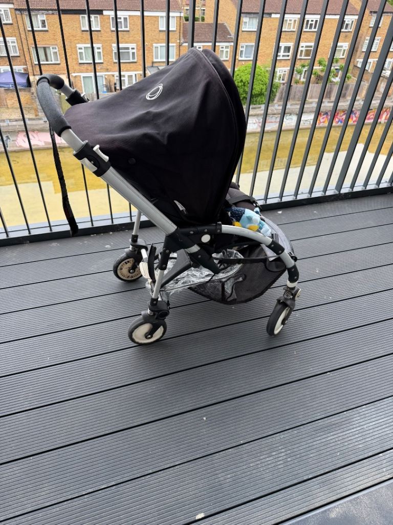 Bugaboo bee
