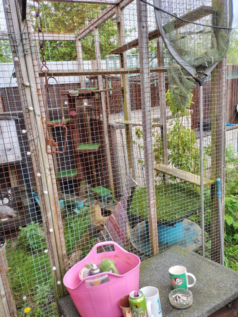 Catio/cat enclosure/animal enclosure 