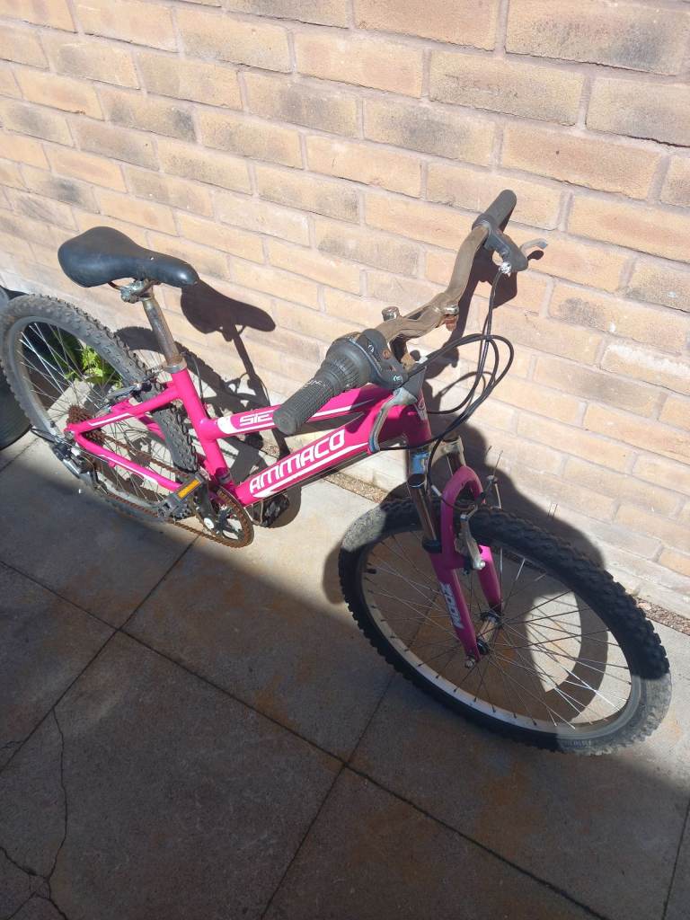 Ammaco sienna ladies mountain bike. 