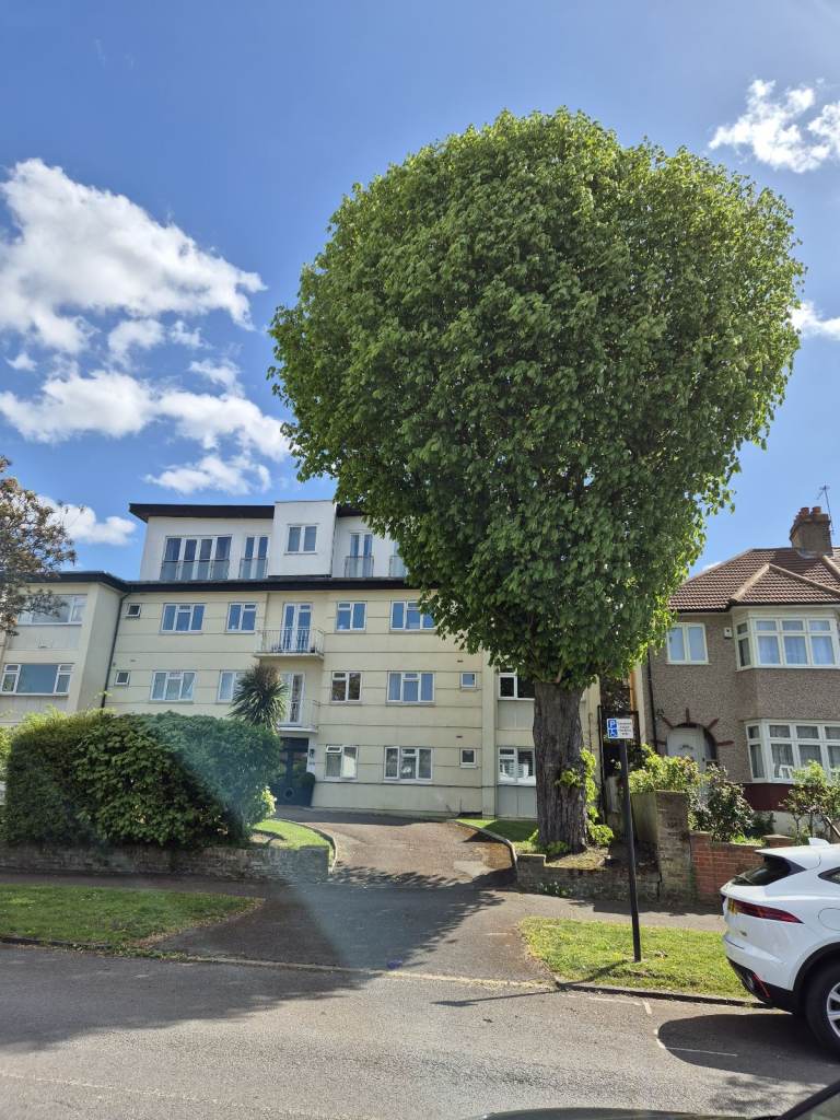 2 BEDROOM CLAPHAM PARK PENTHOUSE 