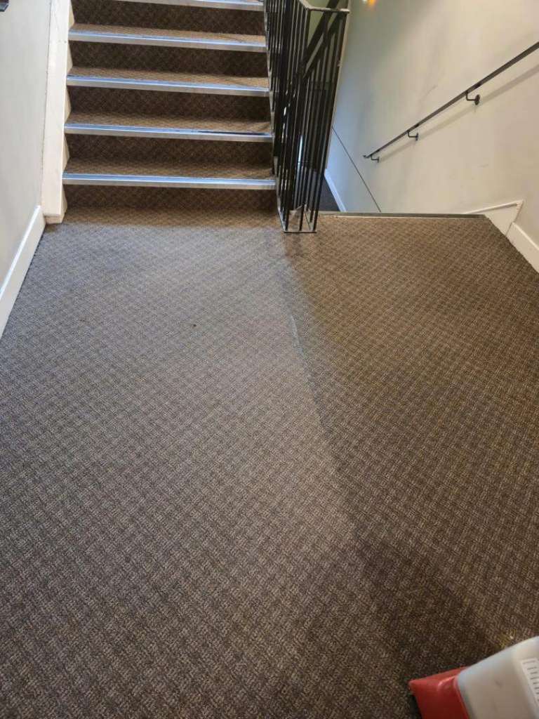 Domestic Cleaner Service Glasgow - Aurea Cleaning Ltd - Air BnB, End Of Tenancy, Deep Cleans 🧼