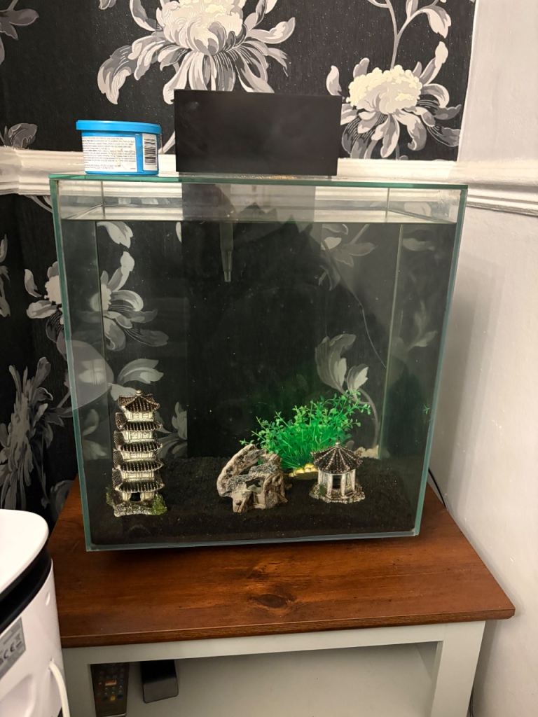 46ltr aquarium Fluval edge 