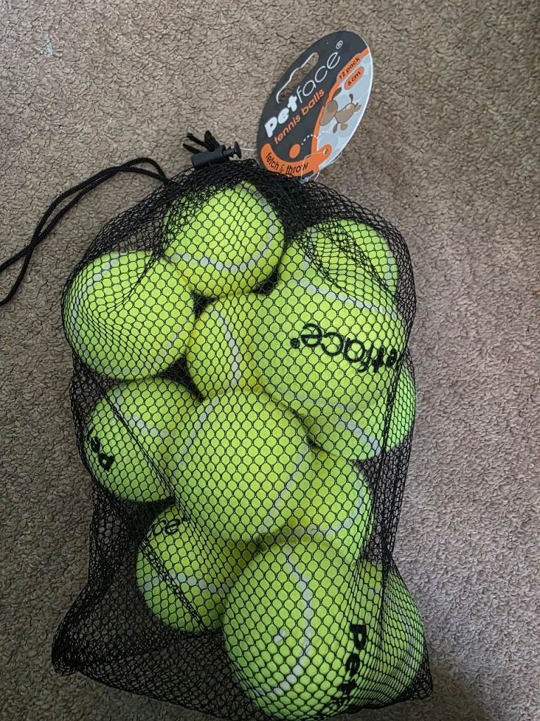 Pet tennis balls 