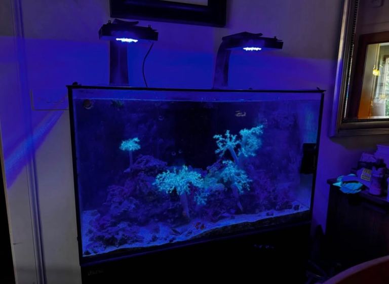 Red Sea Reefer 200 W/protein skimmer and UV filter