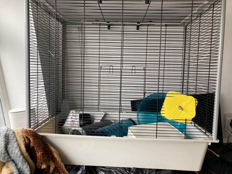 Ferplast rat cage, tunnels, wheel, hammocks and food