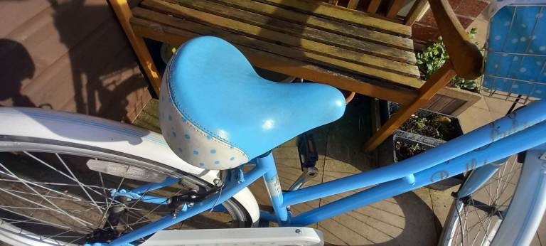 Pendleton Littleton Bike