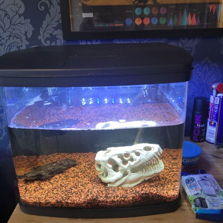 54 Litre Fish Tank 
