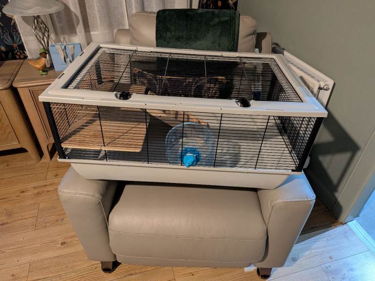 Small animal enclosure hamster etc